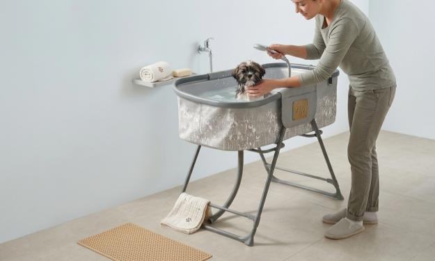 Elevated Dog Bath Tub